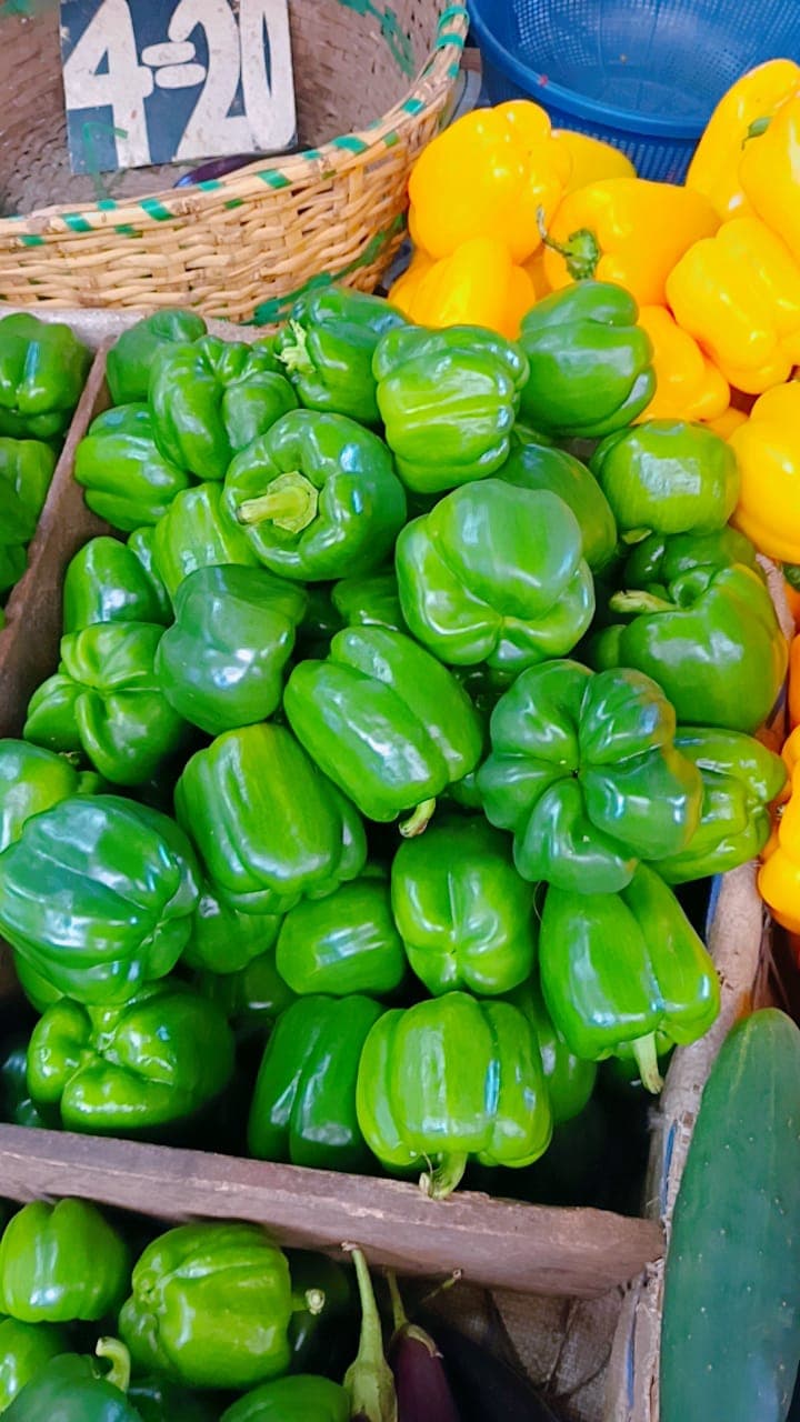 Bell Peppers (Mixed)